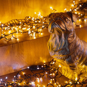 ड्रेसेबल एलईडी स्ट्रिप लाइट्स सीरीज़ के साथ स्पष्ट कॉंकेव लेंस 240V डिममेबल 30000 घंटे से अधिक