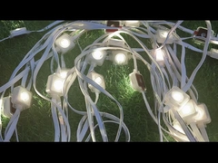 आउटडोर लाइटिंग ने ईव्स लाइट का नेतृत्व किया