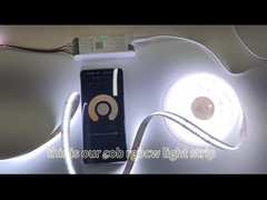 सीओबी स्ट्रिप लाइट