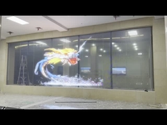 लचीली पारदर्शी स्क्रीन -प्रोजेक्ट के मामले