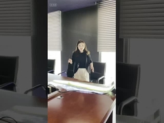 नवीनतम प्रौद्योगिकी-एलईडी लचीली पारदर्शी स्क्रीन