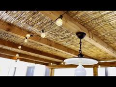 सौर एलईडी प्रकाश ST38